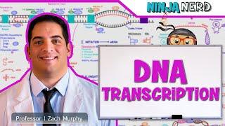 Cell Biology  DNA Transcription 