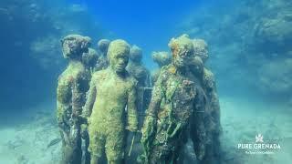 Diving in Pure Grenada