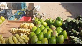 Куба Варадеро Цены на ФРУКТЫ местный фруктовый Рынок Санта-Марта Cuba Fruit Market 8 сентября 2019