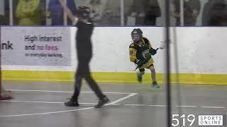 Minor Lacrosse Under 7 - Kitchener-Waterloo Kodiaks vs Guelph Regals