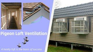 Pigeon Loft Ventilation - A healty loft is the basis of success   ENGLISH VERSION 