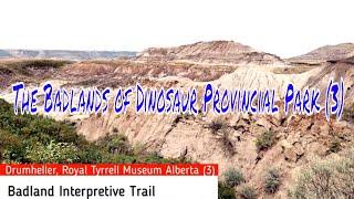 The Badlands of Dinosaur Provincial Park