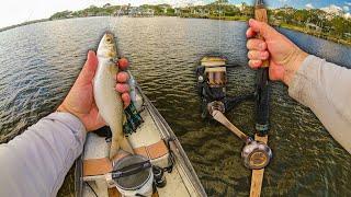 Beginning the Search for a Giant Snook with Live Mullet