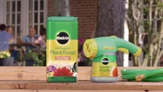 How to Use Miracle-Gro® All Purpose Water Soluble Plant Food