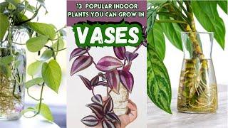13 Popular Indoor Plants You Can Grow In Vases