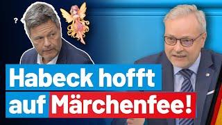 Und wenn sie nicht abgewählt werden zerstören sie  auch morgen noch… Marc Bernhard- AfD-Fraktion