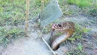 snake trap  easy make a snake trap  Best snake trap using knife