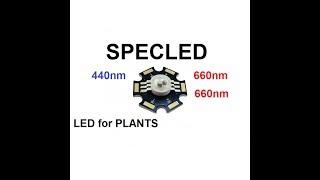 Led for plant. RRB. 660nm + 660nm + 440nm. Grow light. Hurticulture.