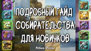 БЫСТРАЯ ПРОКАЧКА СОБИРАТЕЛЬСТВА  ALBION ONLINE  ГАЙД ДЛЯ НОВИЧКА  АЛЬБИОН ОНЛАЙН  СОБИРАШКА