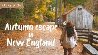  Autumn Escape to an OFF GRID Barn Cabin  New England FALL  SLOW LIVING VLOG