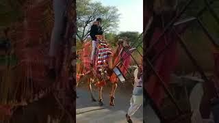 save our culture #rajasthani#ytshorts #indian #viral #jaiveeru#ytfeedshorts