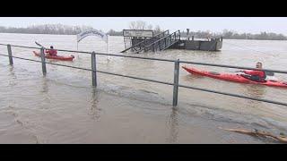 Rhein-Hochwasser am Niederrhein Stand 17.12.2023