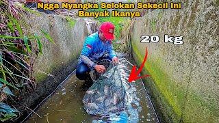 Ngga Nyangka... Selokan Sekecil Ini Banyak Sekali Ikanya  Hunting Fish