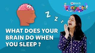 What Happens To Your Brain While You Sleep?  BYJU’S Fun Facts