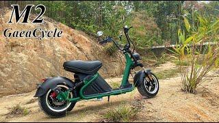 2021 New M2 Citycoco Chopper Scooter COC 25kmh or 45kmh 60v 2000w Motor 30Ah 40Ah Lithium Battery