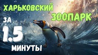 Харьковский зоопарк за полторы минуты #kharkiv #zoo