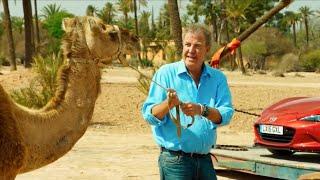 CLARKSON VS ANIMALS