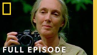 Jane Goodall An Inside Look Full Episode  National Geographic