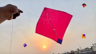 Kite Looting From Terrace  Kite Catching  Kite 🪁