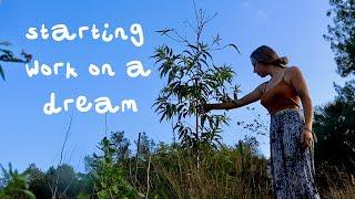 RESTORING AN ABANDONED FARM IN SPAIN  A Dream is Coming True on our Off-Grid Homestead