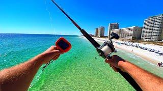 Dropping a GoPro Under a Popular Fishing Pier Wild