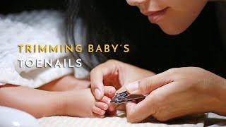 How to Safely Cut Your Babys Nails -  Paediatric Podiatrist Georgina Tay East Coast Podiatry