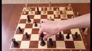 РЕДЧАЙШЫЙ МАТ Эту ЛОВУШКУ нужно знать Самый опасный вариант дебюта Шахматы ловушки Шахмат