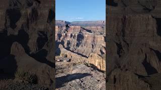 Splendid Grand Canyon West Rim Arizona #shorts #grandcanyon #arizona