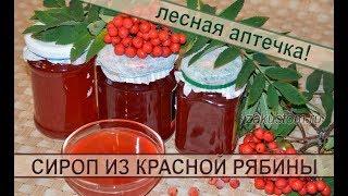 Сироп из ягод красной рябины рецепт полезной вкусной заготовки на зиму. Syrup berries of red Rowan