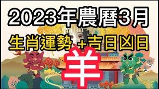 【古柏論命每月運勢 + 吉日凶日】2023年農曆三月陽曆420  518生肖運勢分享 -  羊