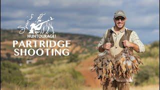 Driven Partridge Shooting in Spain 2020  Chasse à la Perdrix En Espagne  صيد الحجل في اسبانيا