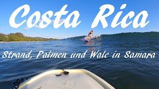 Costa Rica  Relaxtes Beachlife in Samara mit Whalewatching und Traumstränden am Pazifik