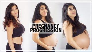 Pregnancy Progression Belly Transformation  0 to 41 Weeks