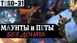 Все БЕСПЛАТНЫЕ маунты и петы в Elder Scrolls Online. Ездовые и декоративные питомцы. TESO2020