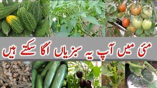 May me konsi sabji uganemay me lagai jane wali sabziyanMay month vegetables in Urduhindi