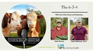 BONUS Ep  283 – Gabe Brown and Dr  Allen Williams – The 6 3 4 Made by Headliner