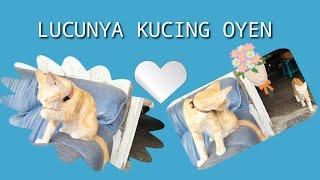 LUCUNYA KUCING OYEN #kucinglucu