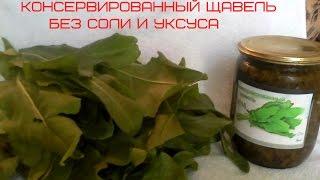 Консервированный щавель без соли уксуса