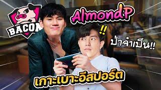 AlmondP สอนพี่ป่าอีกซักครั้งได้มั้ย