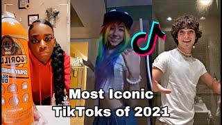 Most Iconic TikToks of 2021
