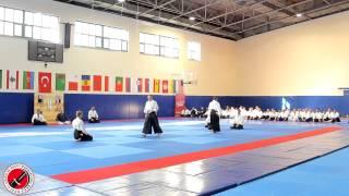 5th International Aikido Festival Ukraine