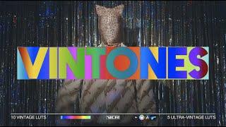 Vintones  Vintage LUTs  Videos Change Reality