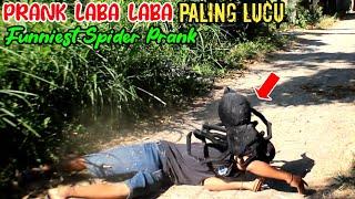 edisi Prank Laba Laba Terlucu  Asli Bikin Ngakak   Funniest Spider Prank