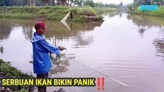 SERBUAN IKAN BIKIN PANIK PARA PENJALA