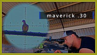 FX maverick .30 #pestcontrol #controldeplagas monchis