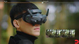 DJI Goggles 3  Режим Real View