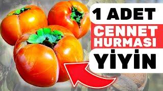 1 Tane Cennet Hurması Yemek Vücudunuza Bunları Yapıyor  Trabzon Hurmasının Faydaları Nelerdir?