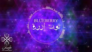 Blueberry - توت أزرق - Zain Arabian Music Visualization Music Video