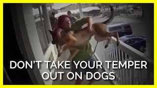 When Humans Have Temper Tantrums & Outbursts Dogs Can Suffer