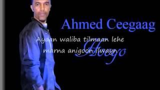 Somali Lyrics   Song   Hooyo   By Ahmed Ceegaag